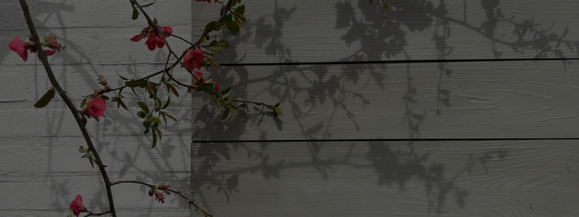 Outdoorlak Painting the past - Cachethomecollection.de