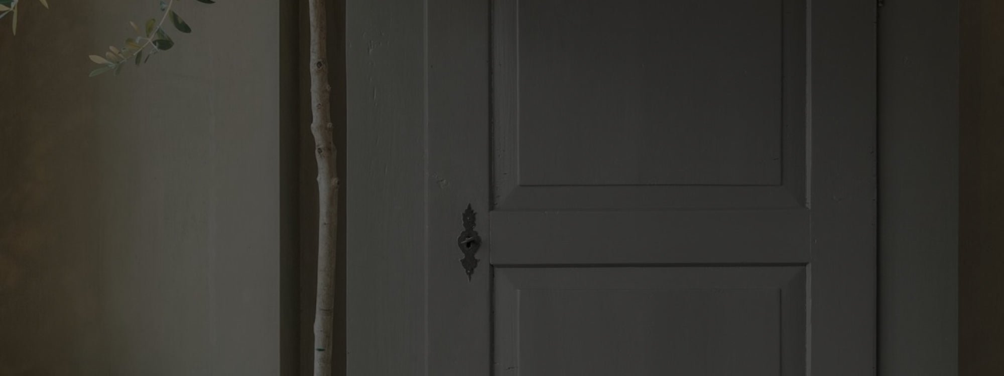 Super Cleaner Pure & Original - Cachethomecollection.de