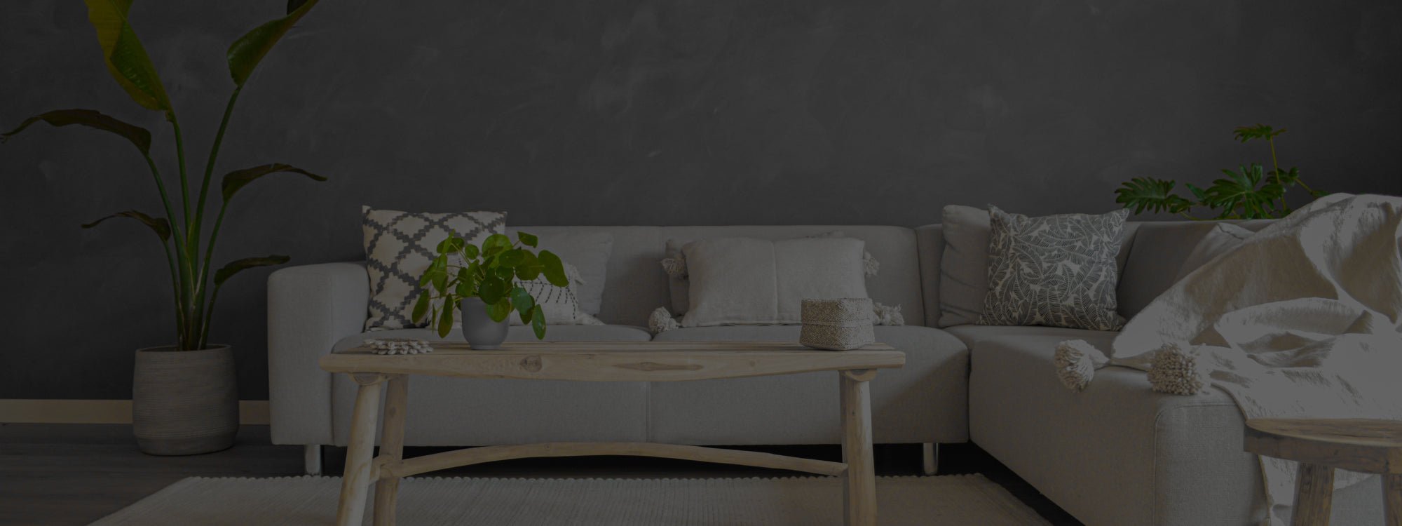 Wandgrundierung Pure & Original - Cachethomecollection.de