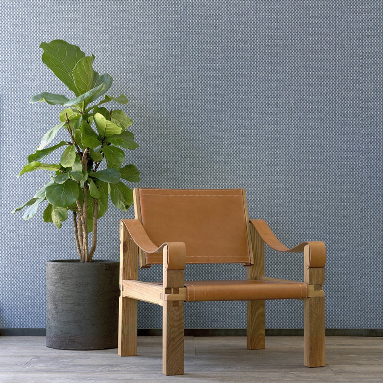 Wildwalk Ferox Arte - Cachethomecollection.de