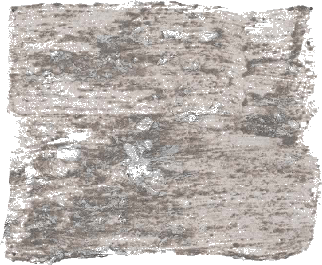 130. Zandsteen Wallprimer Farbe im Beton - Look L'Authentique - Cachethomecollection.de
