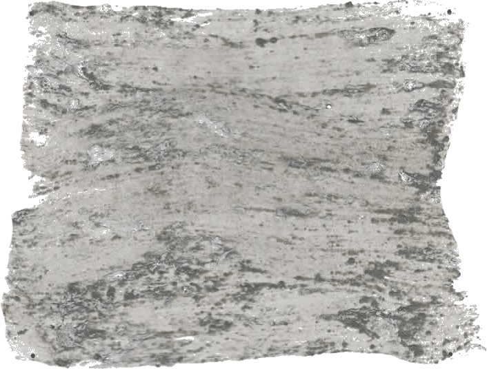 134. Army Wallprimer Farbe im Beton - Look L'Authentique - Cachethomecollection.de