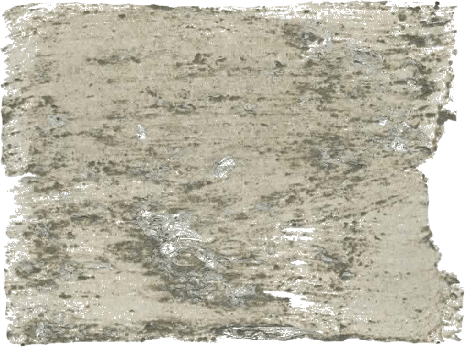 135. Oase Wallprimer Farbe im Beton - Look L'Authentique - Cachethomecollection.de