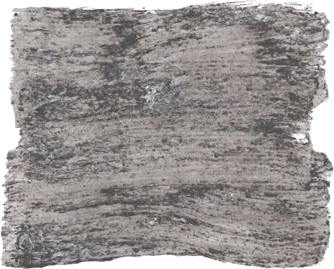 139. Basalt Farbe im Beton - Look L'Authentique - Cachethomecollection.de