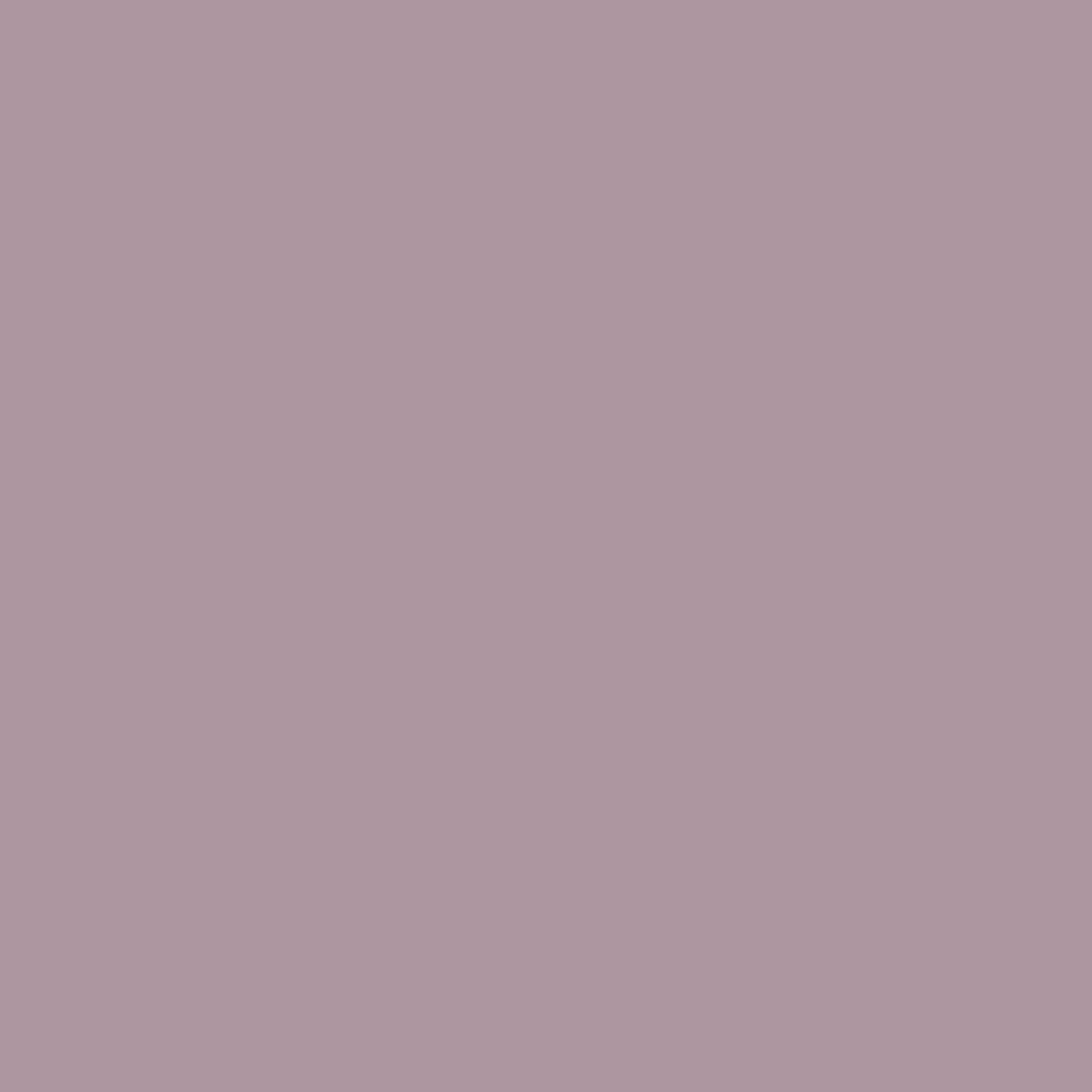 158 Clic Clac Wall Primer Flamant - Cachethomecollection.de