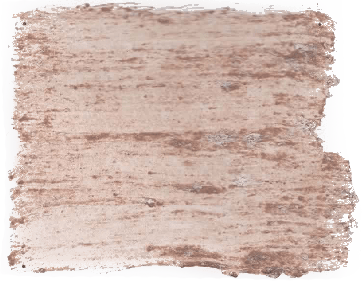 178. Instinct Wallprimer Farbe im Beton - Look L'Authentique - Cachethomecollection.de