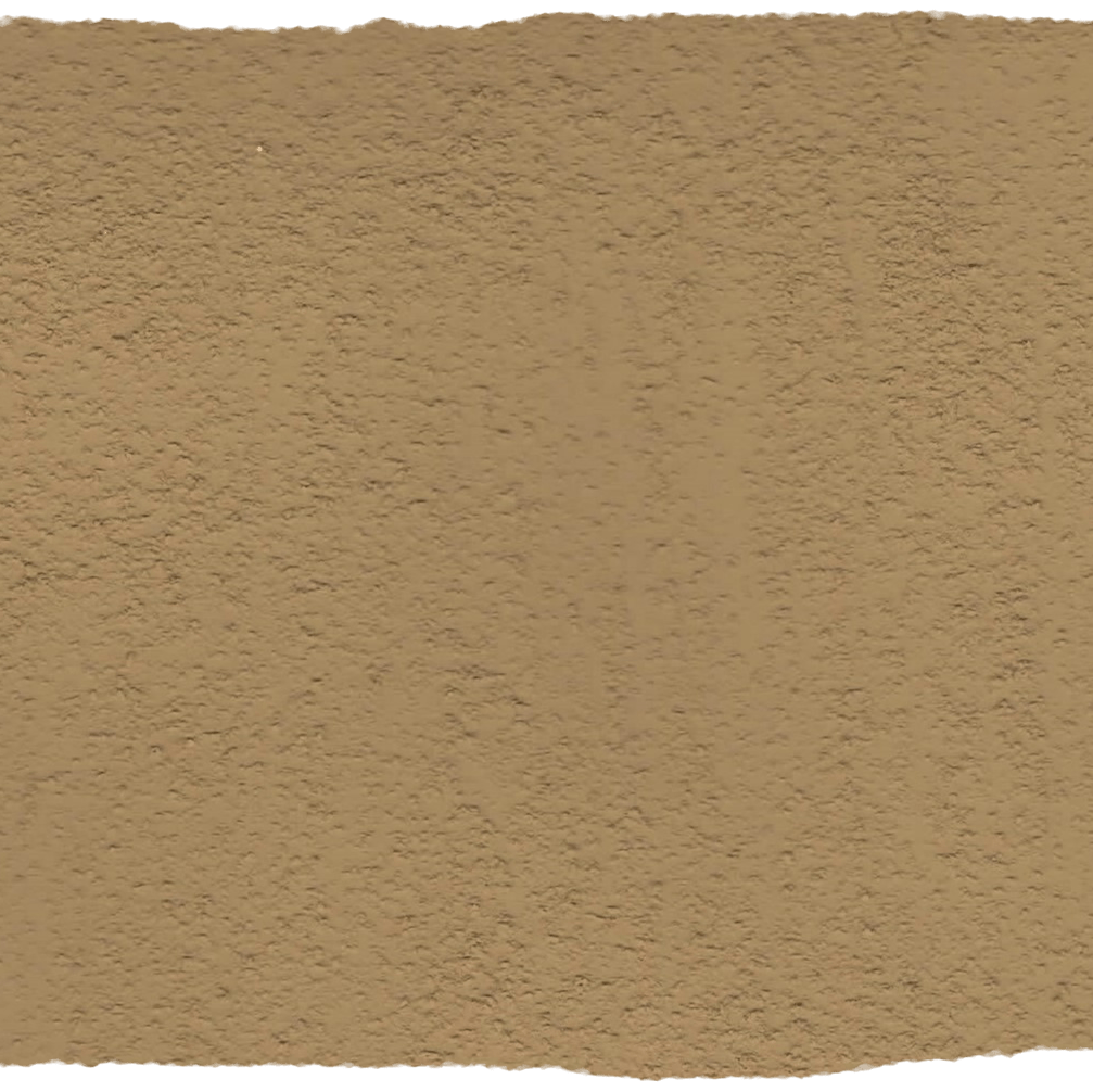 188. Wanderlust Terra Walls L'Authentique - Cachethomecollection.de