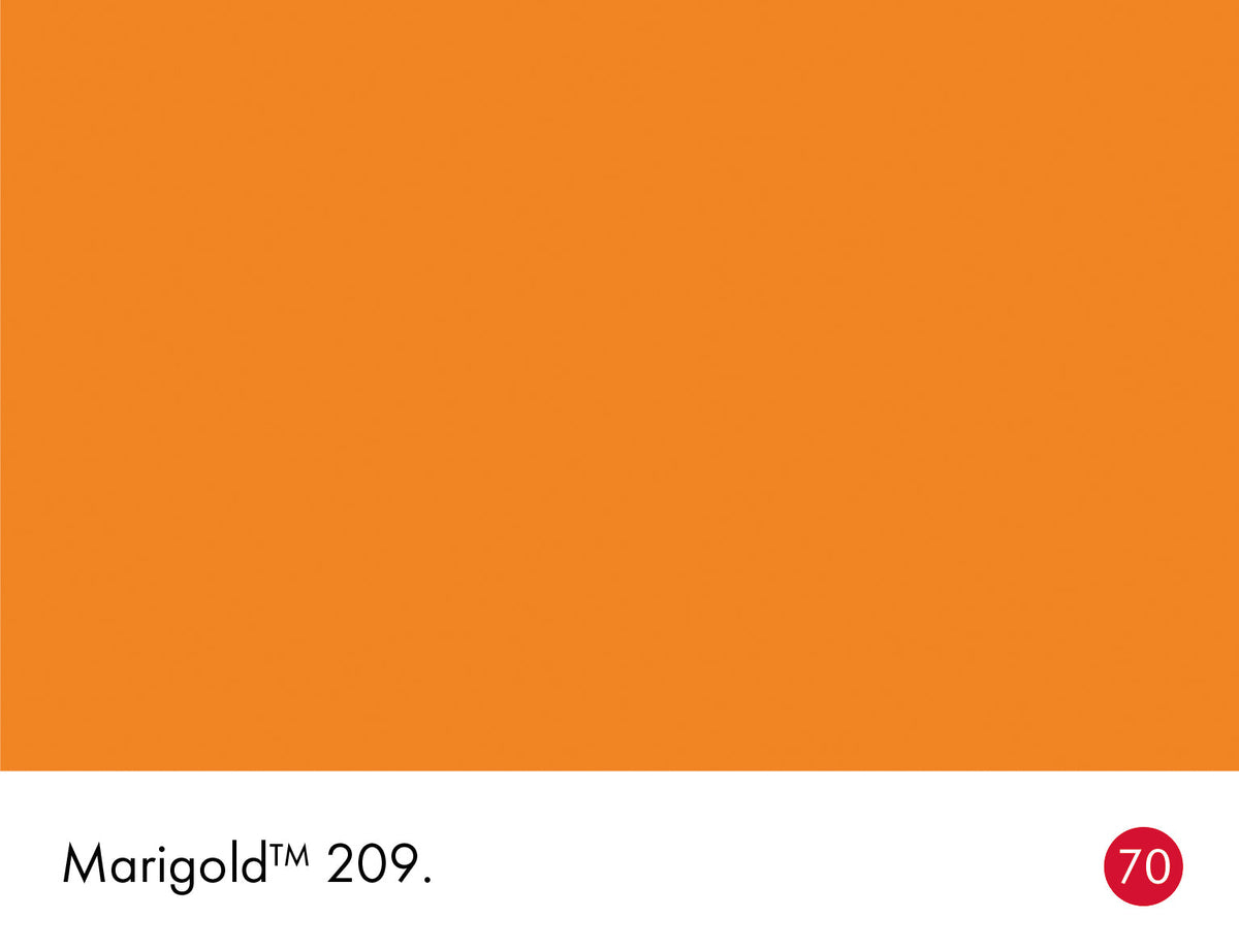 209 | Marigold Intelligent Eggshell Little Greene