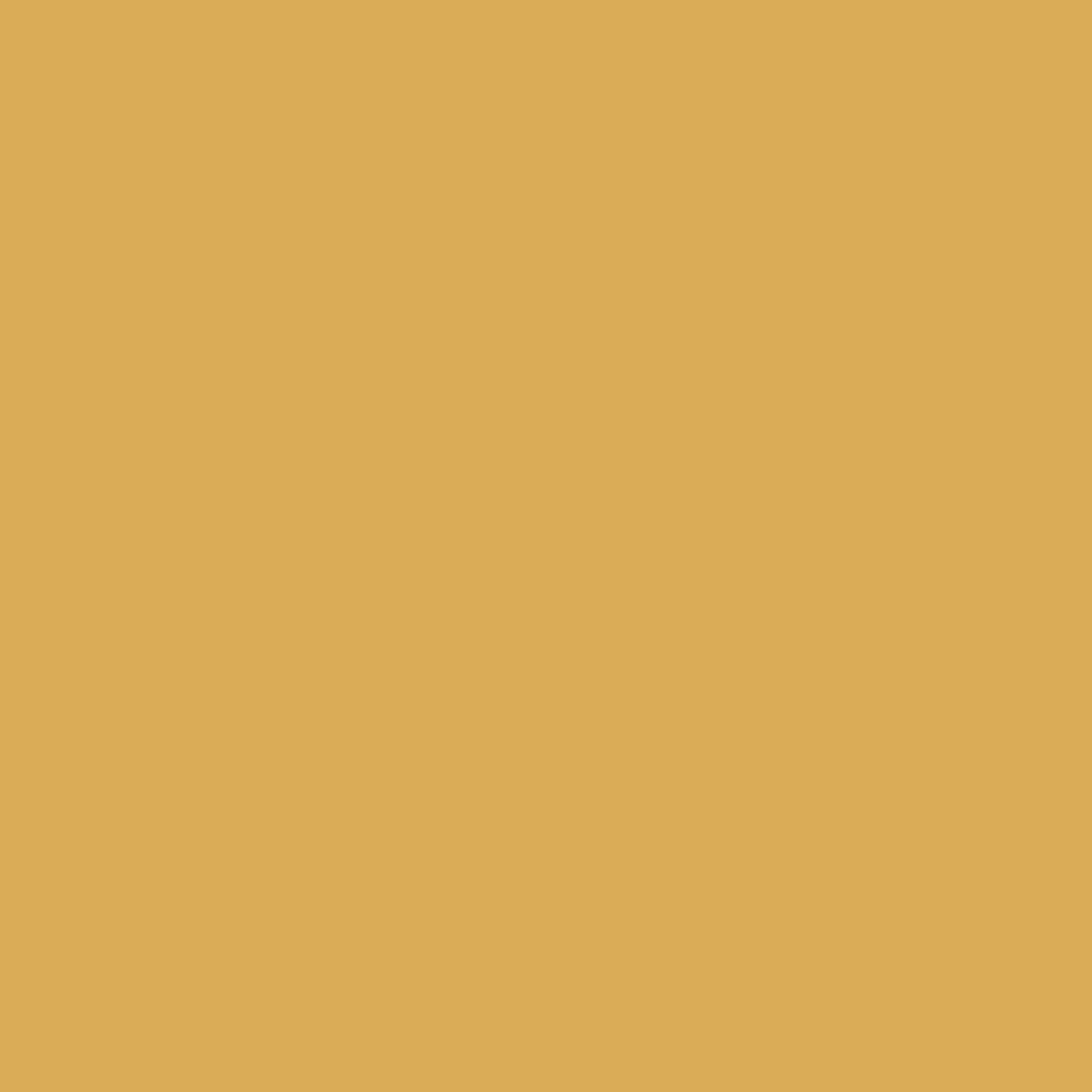 244 Bikini Wall Primer Flamant - Cachethomecollection.de