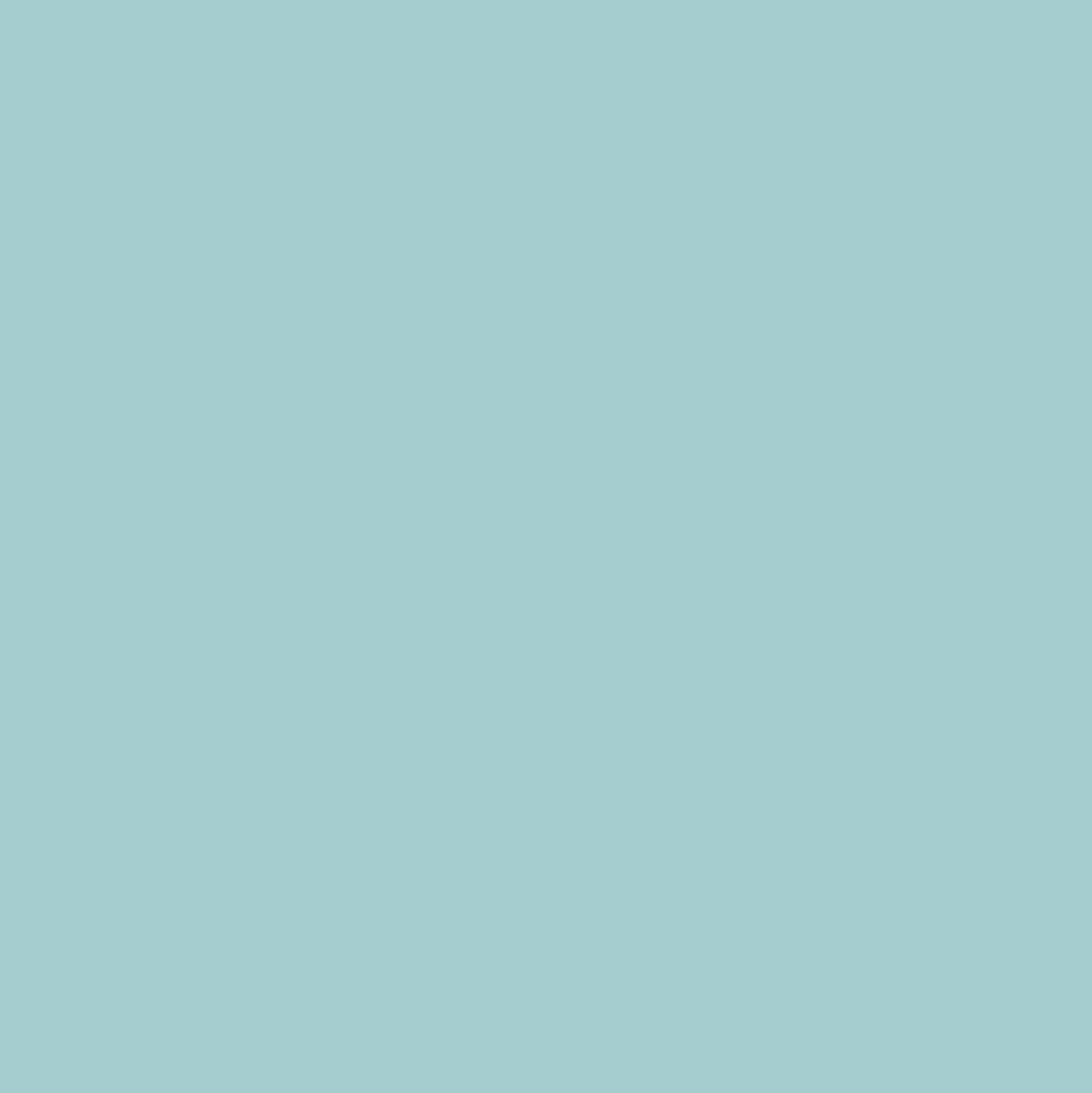 250 Paradiso Wall Primer Flamant - Cachethomecollection.de