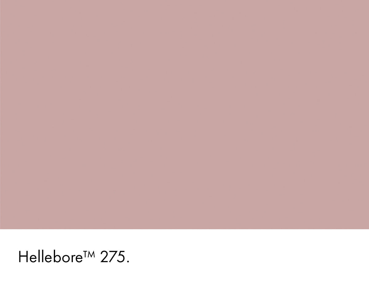 275 | Hellebore Intelligent Gloss Little Greene