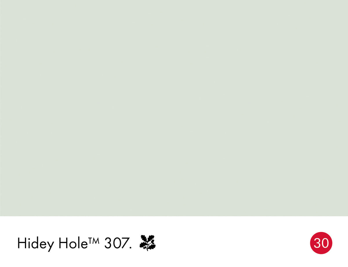 307 | Hidey Hole Intelligent Satin Little Greene