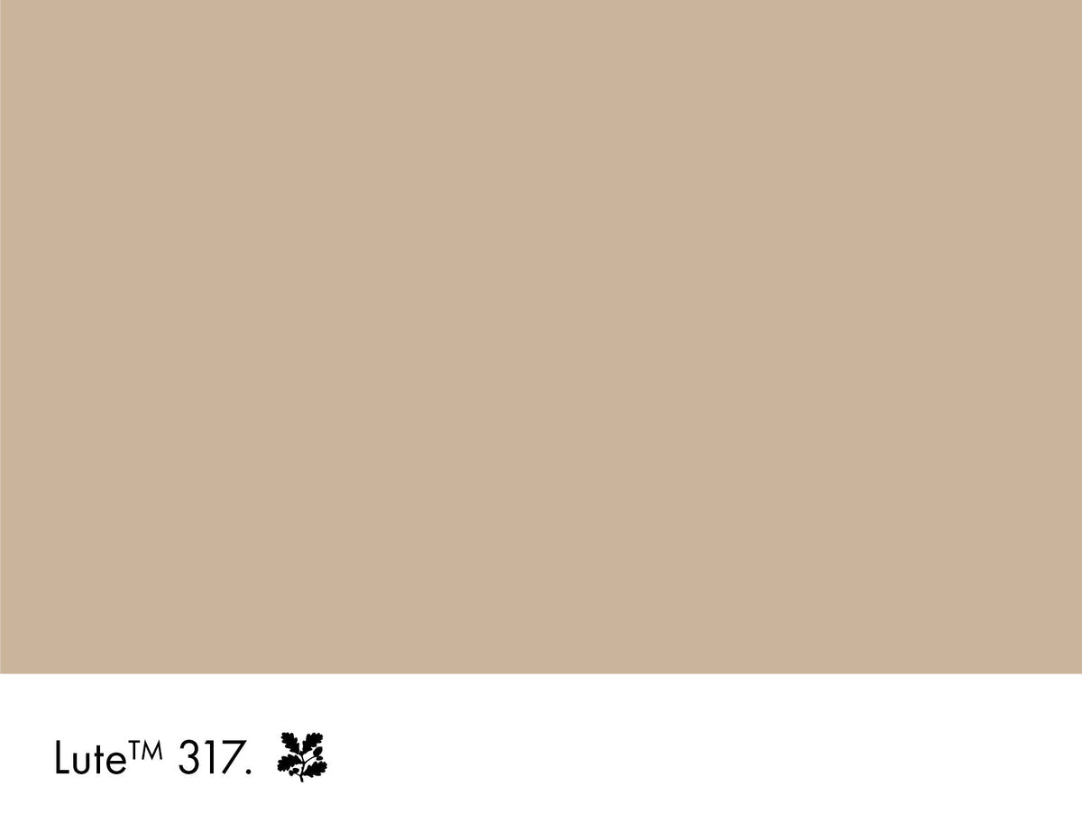 317 | Lute Limewash Little Greene