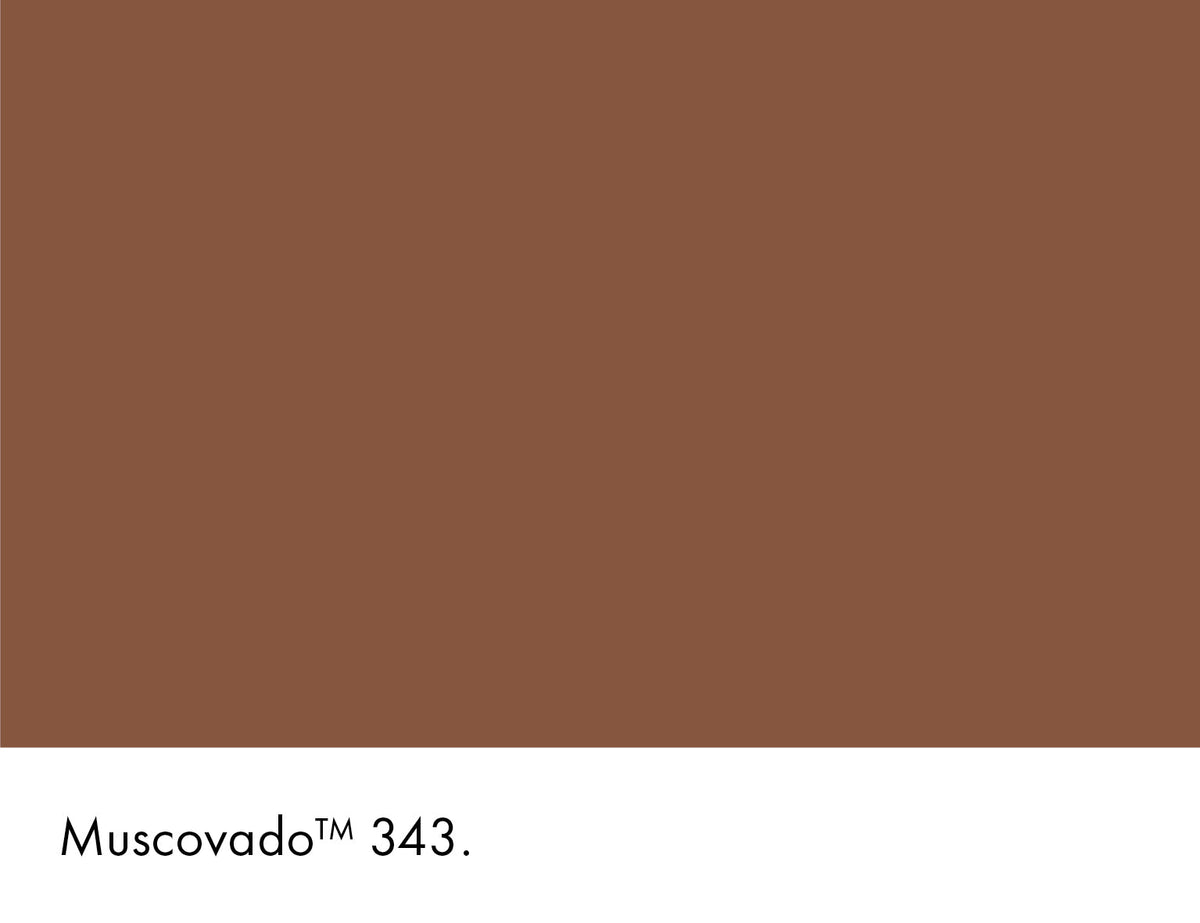 343 | Muscovado Intelligent Masonry Paint Little Greene