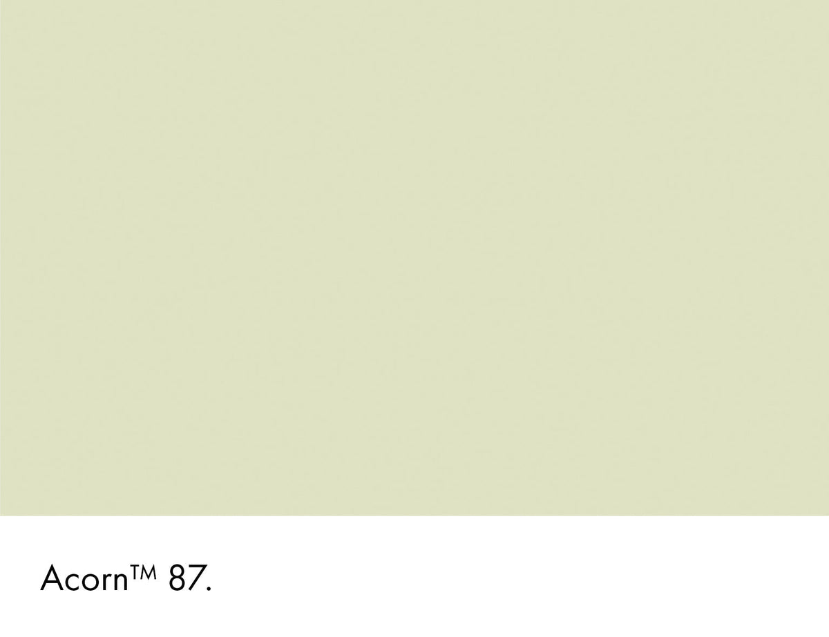 87 | Acorn Intelligent Eggshell Little Greene