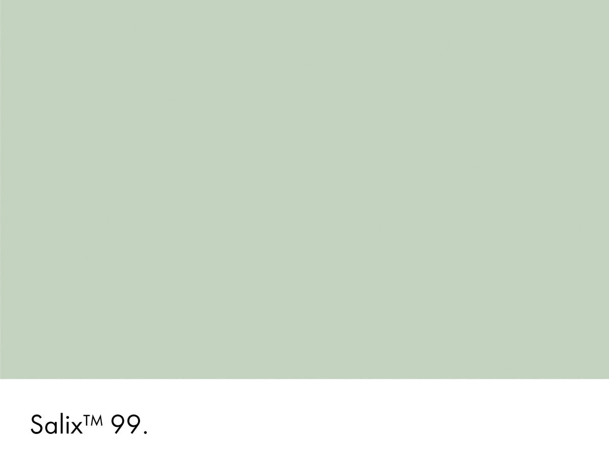 99 | Salix Limewash Little Greene
