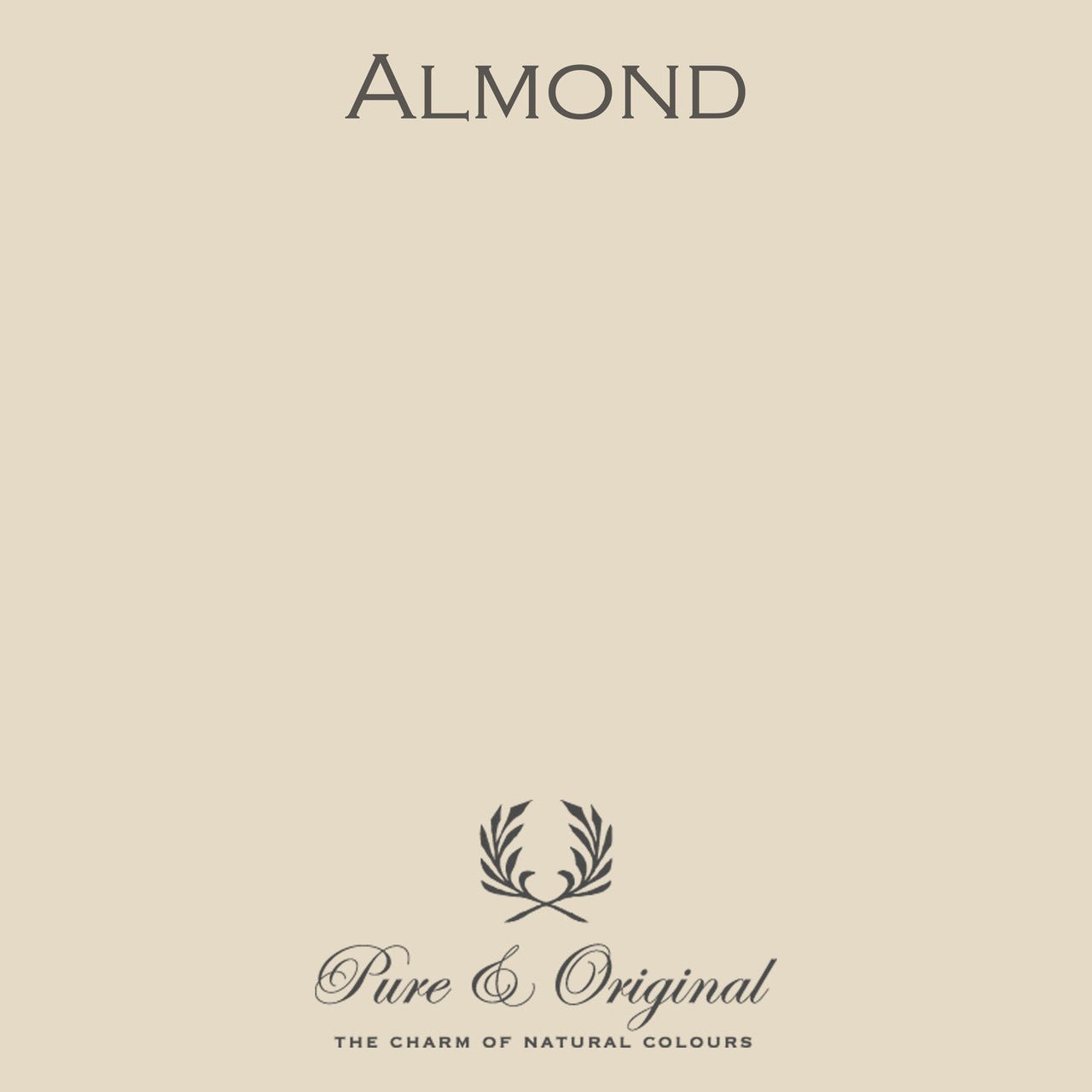 Almond Massif Stucco Pure & Original - Cachethomecollection.de