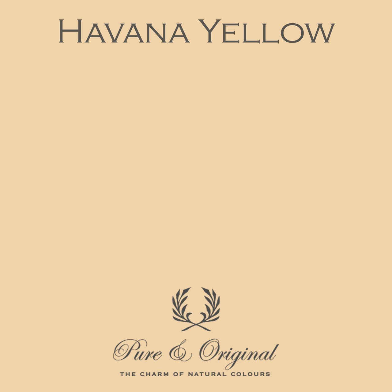 Havana Yellow Wall Primer Pure & Original - Cachethomecollection.de