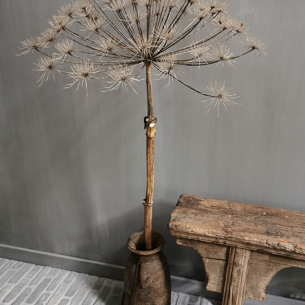 Kalkfarbe Mia Colore - Cachethomecollection.de