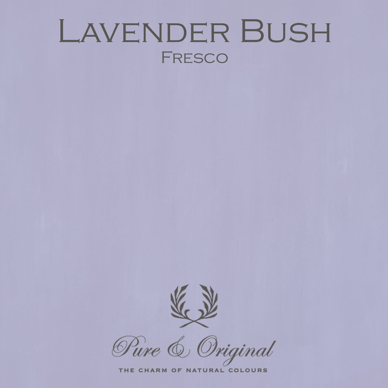 Lavender Bush Fresco Kalkfarbe Pure & Original - Cachethomecollection.de