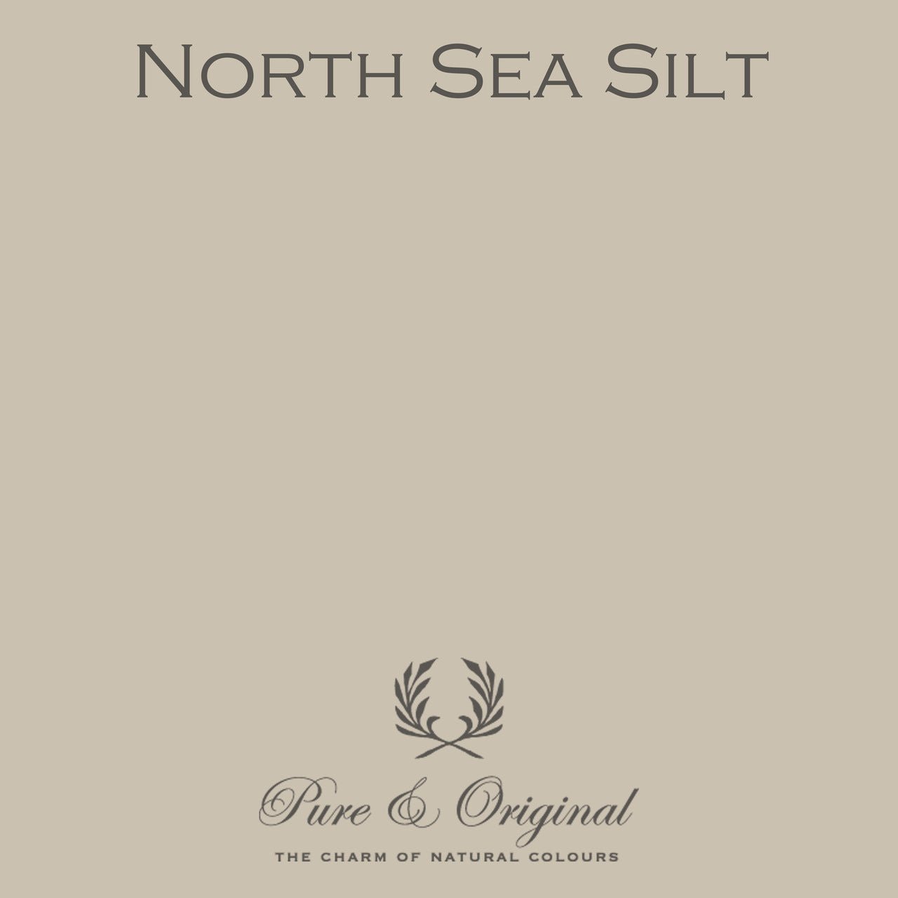 North Sea Silt Massif Stucco Pure & Original - Cachethomecollection.de
