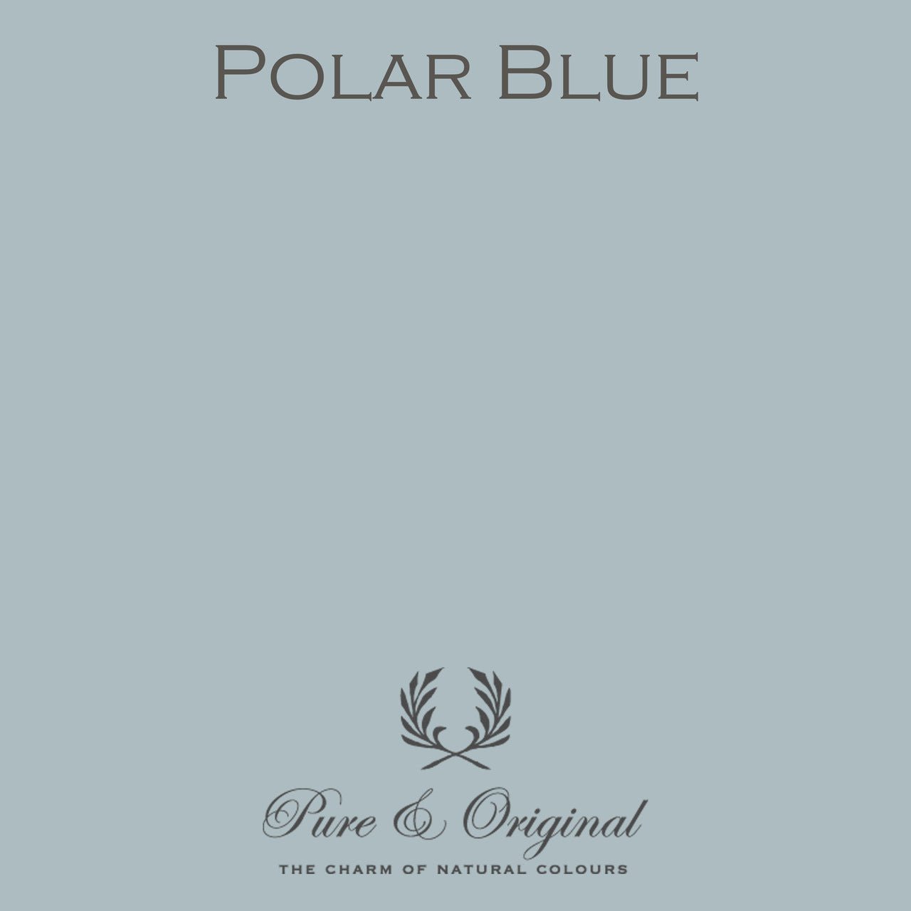 Polar Blue Carazzo (Bodenfarbe) Pure & Original - Cachethomecollection.de