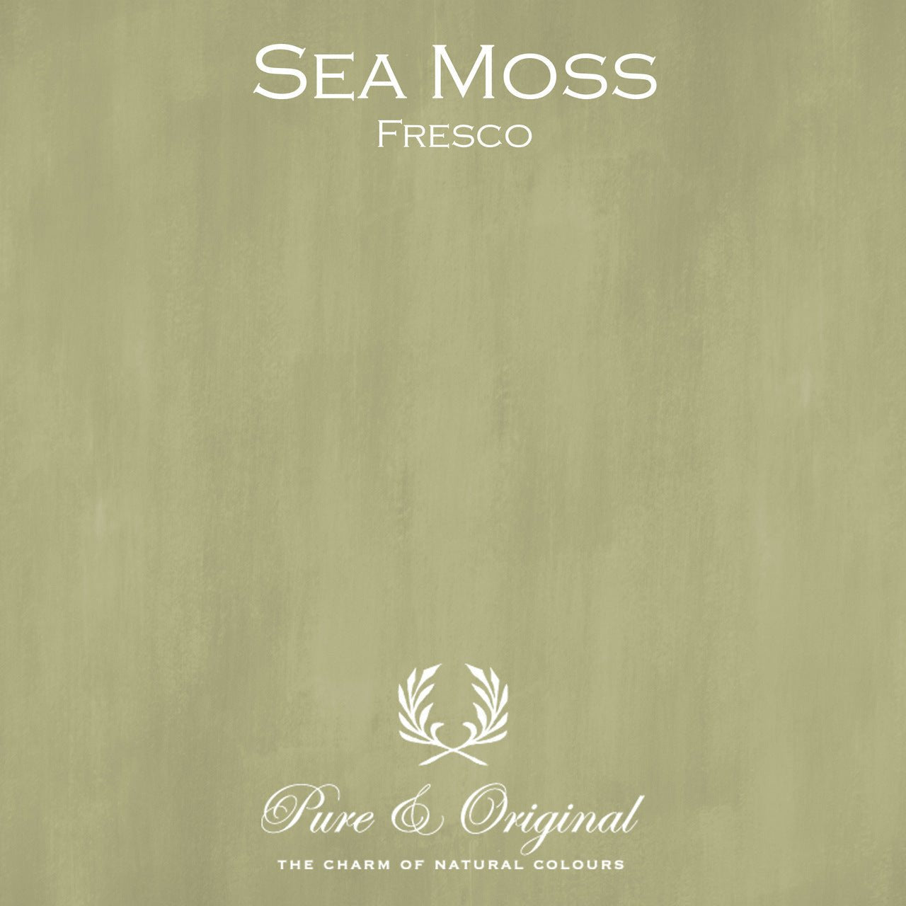 Sea Moss Fresco Kalkfarbe Pure & Original - Cachethomecollection.de