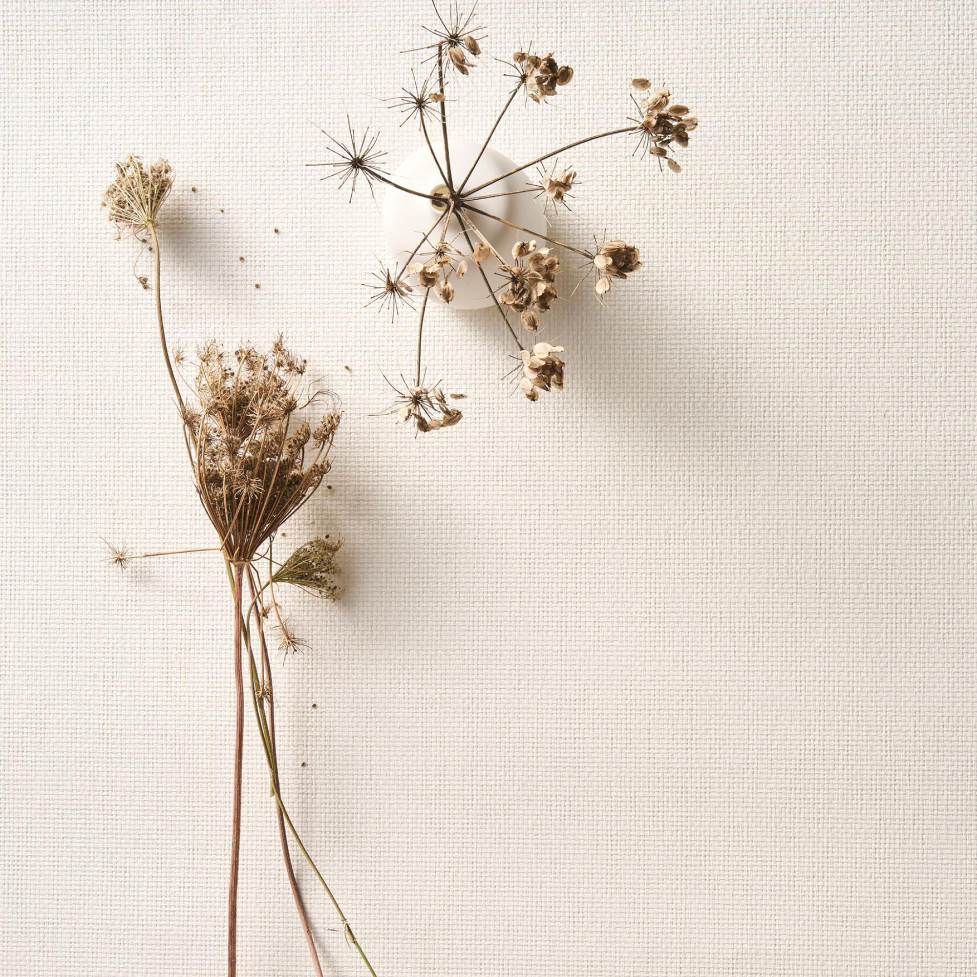 Pure Purity Arte - Cachethomecollection.de