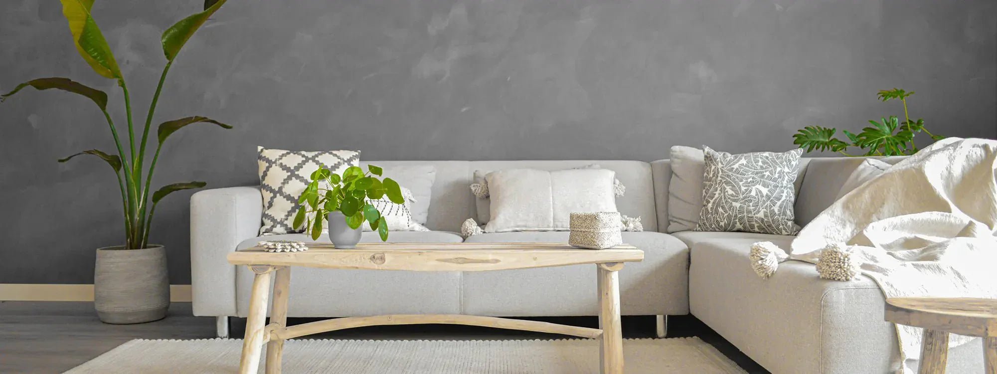 Wandgrundierung Pure & Original - Cachethomecollection.de