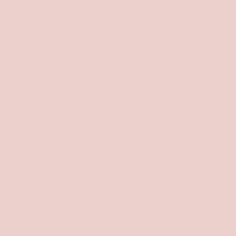 10.001 Old Rose Universale Primer (Lak) Mia Colore - Cachethomecollection.de