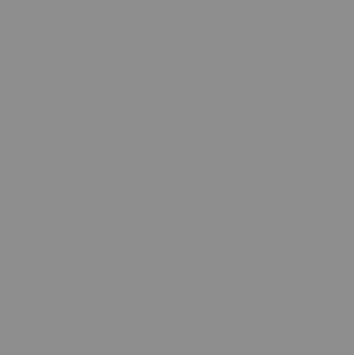 115. Olifant Matte Wandfarbe L'Authentique - Cachethomecollection.de