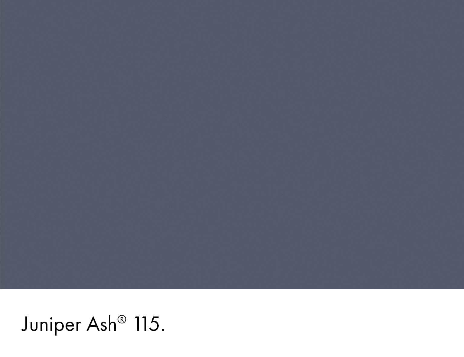 Juniper Ash Intelligent Matt Emulsion Little Greene