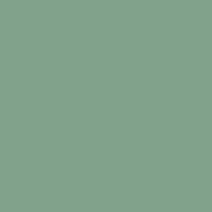 117. Cactus Matte Lack auf Wasserbasis L'Authentique - Cachethomecollection.de