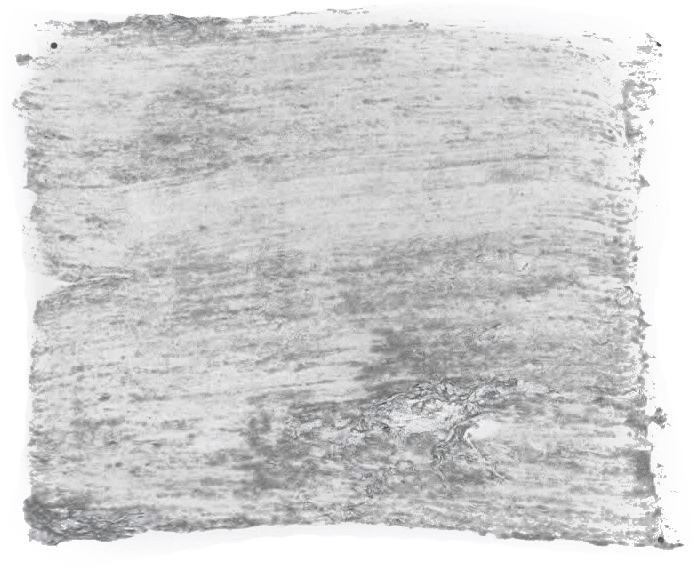 129. Kiezel Farbe im Beton - Look L'Authentique - Cachethomecollection.de