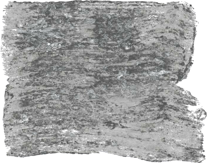 131. Graniet Wallprimer Farbe im Beton - Look L'Authentique - Cachethomecollection.de