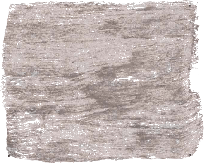 141. Marble Wallprimer Farbe im Beton - Look L'Authentique - Cachethomecollection.de