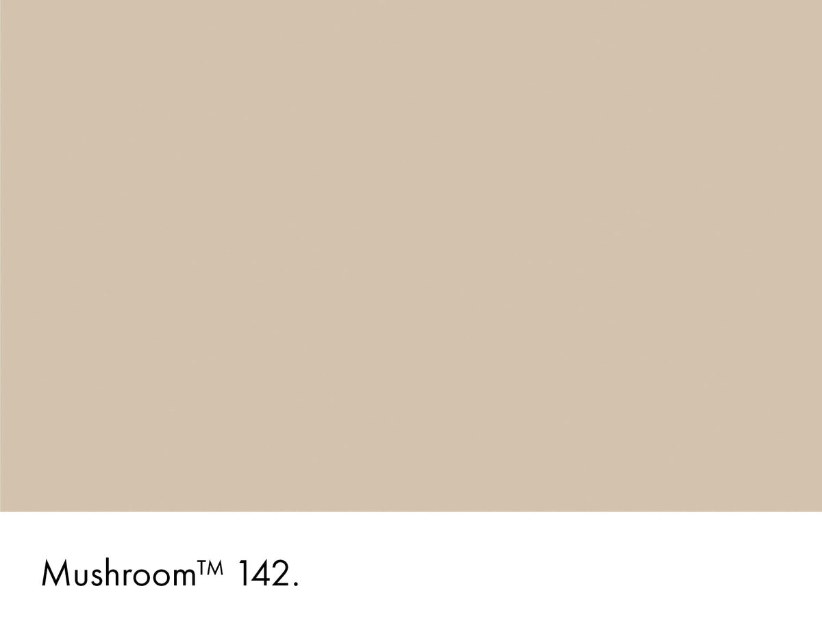 142 | Mushroom Intelligent Masonry Paint Little Greene