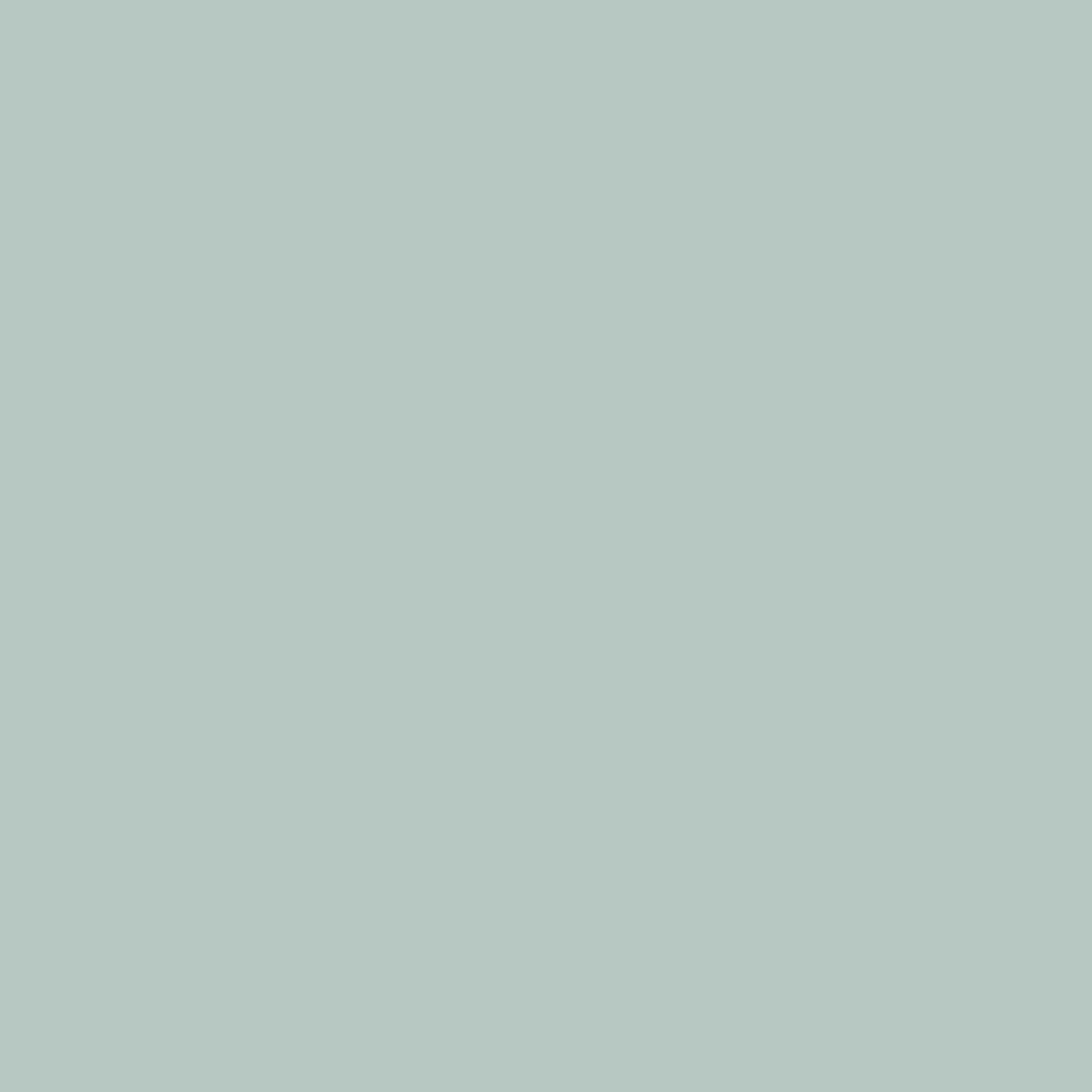 159 Iode Wall Primer Flamant - Cachethomecollection.de