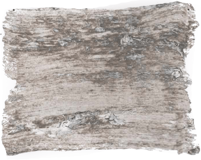 180. Rustic Wallprimer Farbe im Beton - Look L'Authentique - Cachethomecollection.de