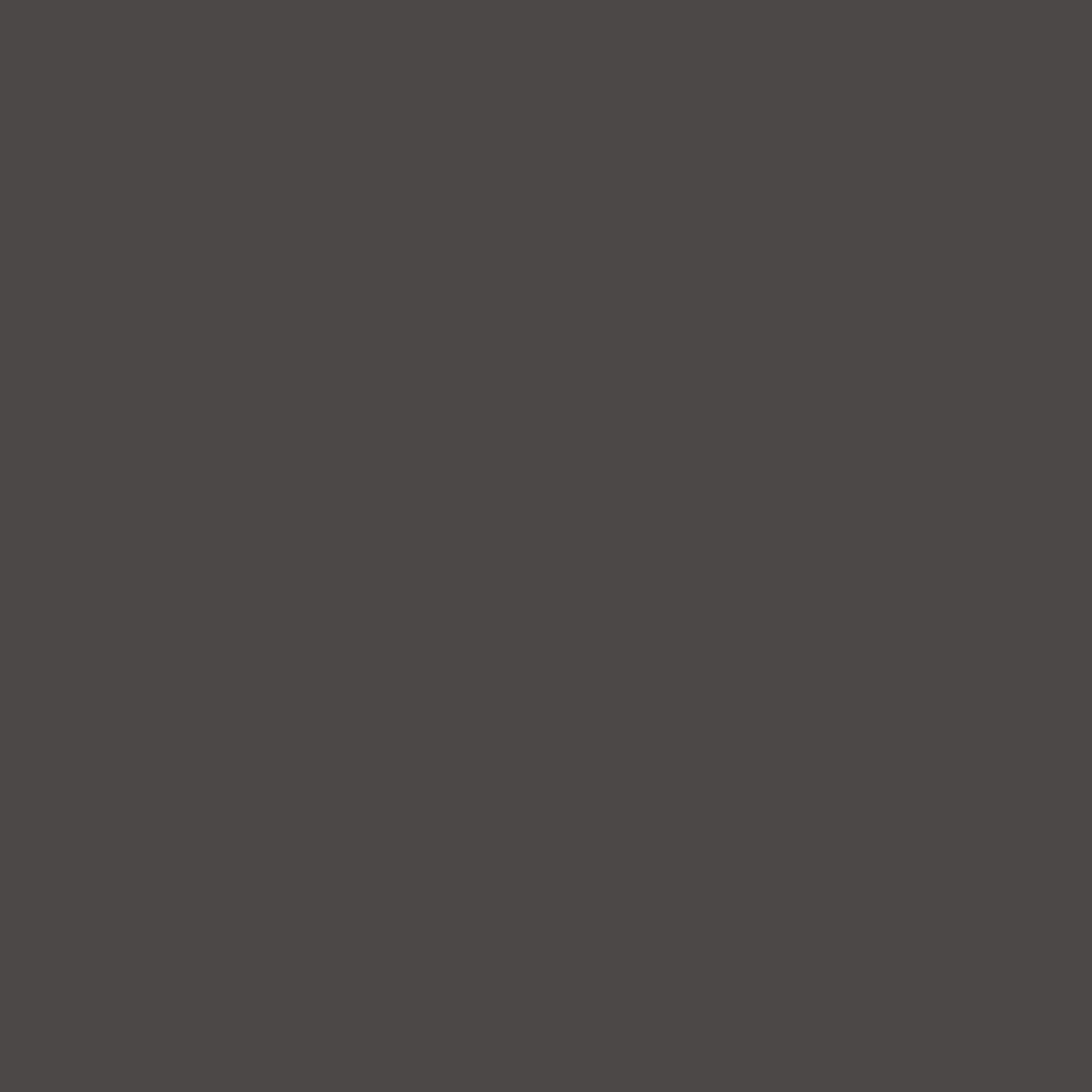 190 Noir de Lune Wall & Wood Satin Flamant - Cachethomecollection.de
