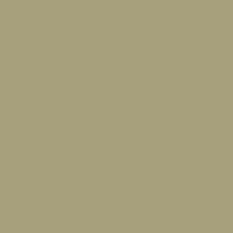 211. Gypsy Matte Lack auf Wasserbasis L'Authentique - Cachethomecollection.de