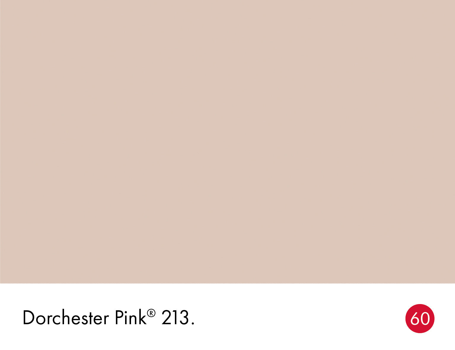Dorchester Pink Wall Primer Sealer Little Greene
