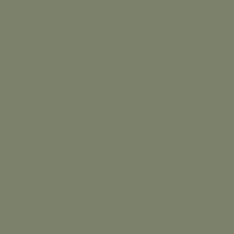 214. Amber Matte Lack auf Wasserbasis L'Authentique - Cachethomecollection.de