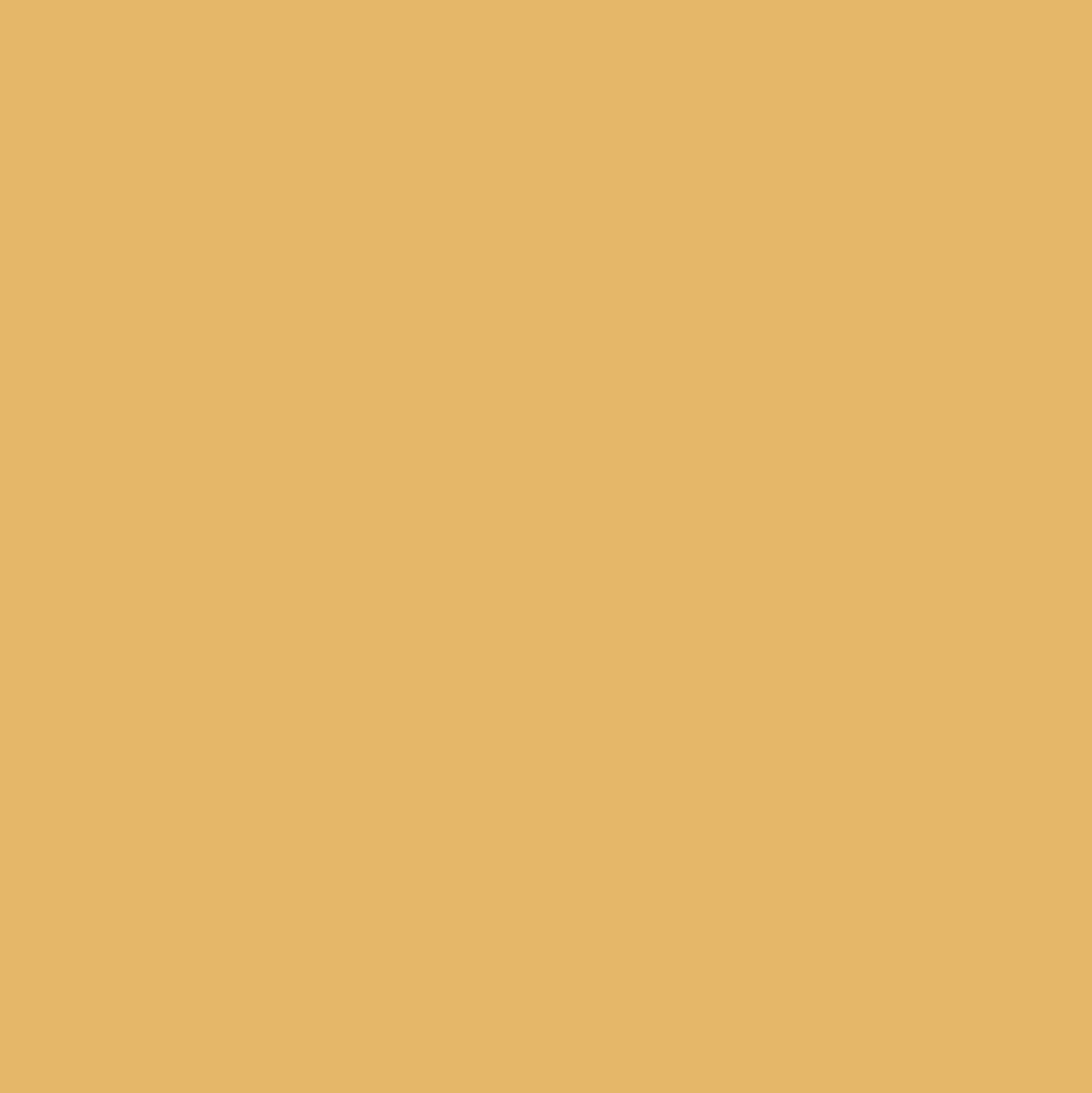 223 Sunshine Wall Matt Flamant - Cachethomecollection.de