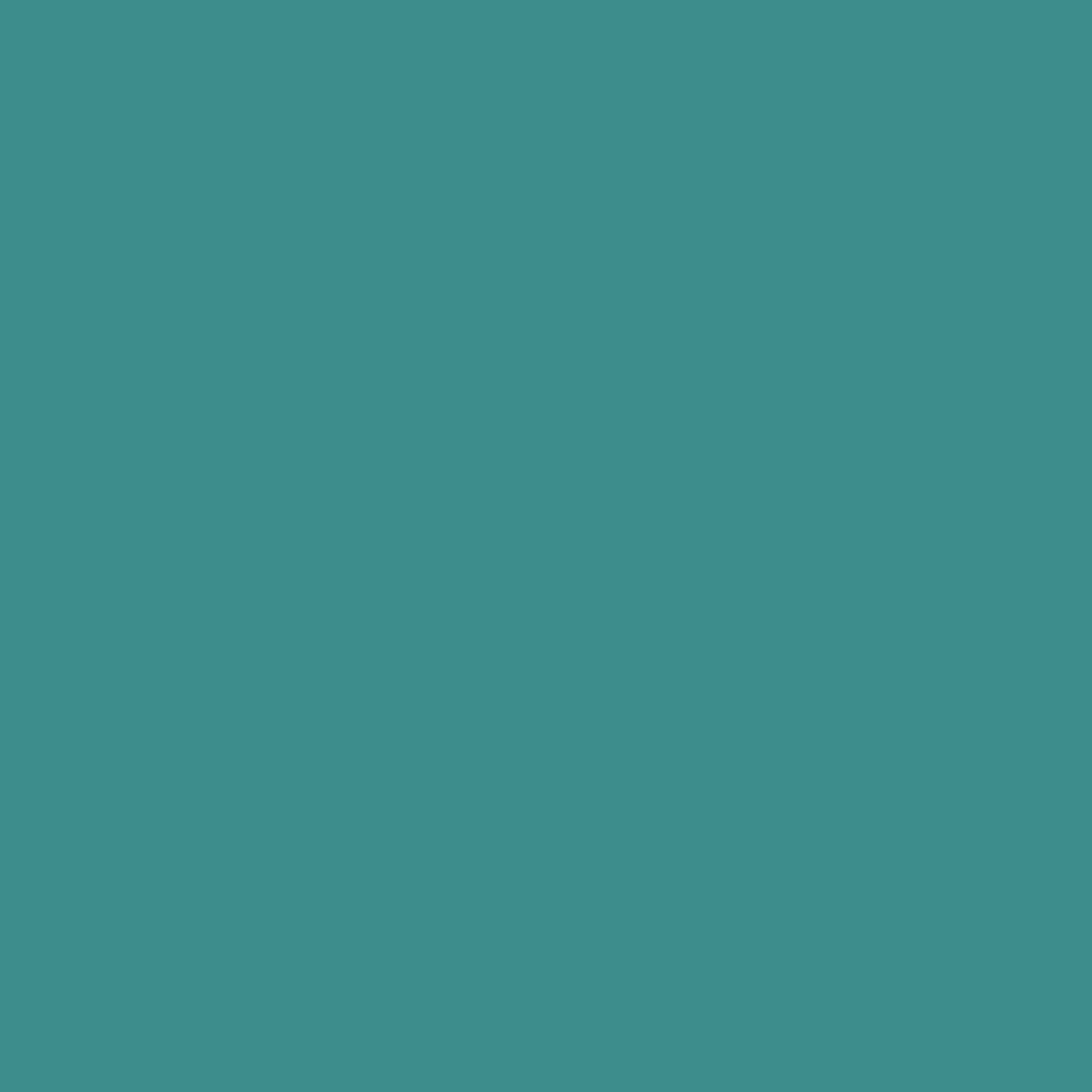 235 Curacao Wall Primer Flamant - Cachethomecollection.de