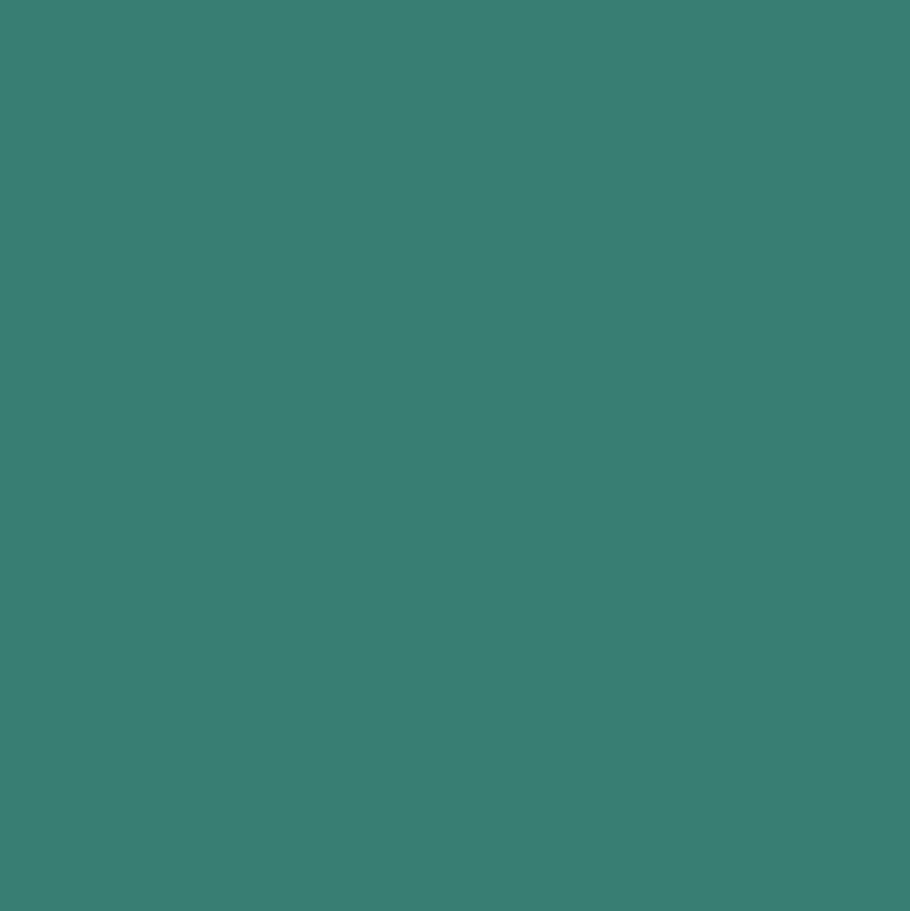 236 Peacock Wall & Wood Satin Flamant - Cachethomecollection.de