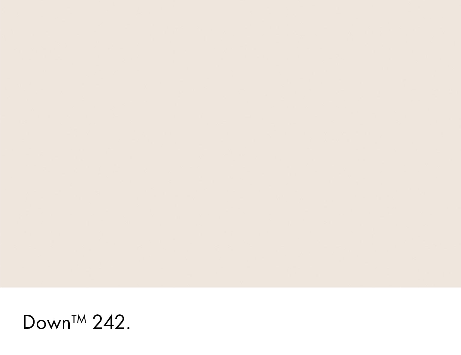 Down Intelligent ASP (All Surface Primer) Little Greene