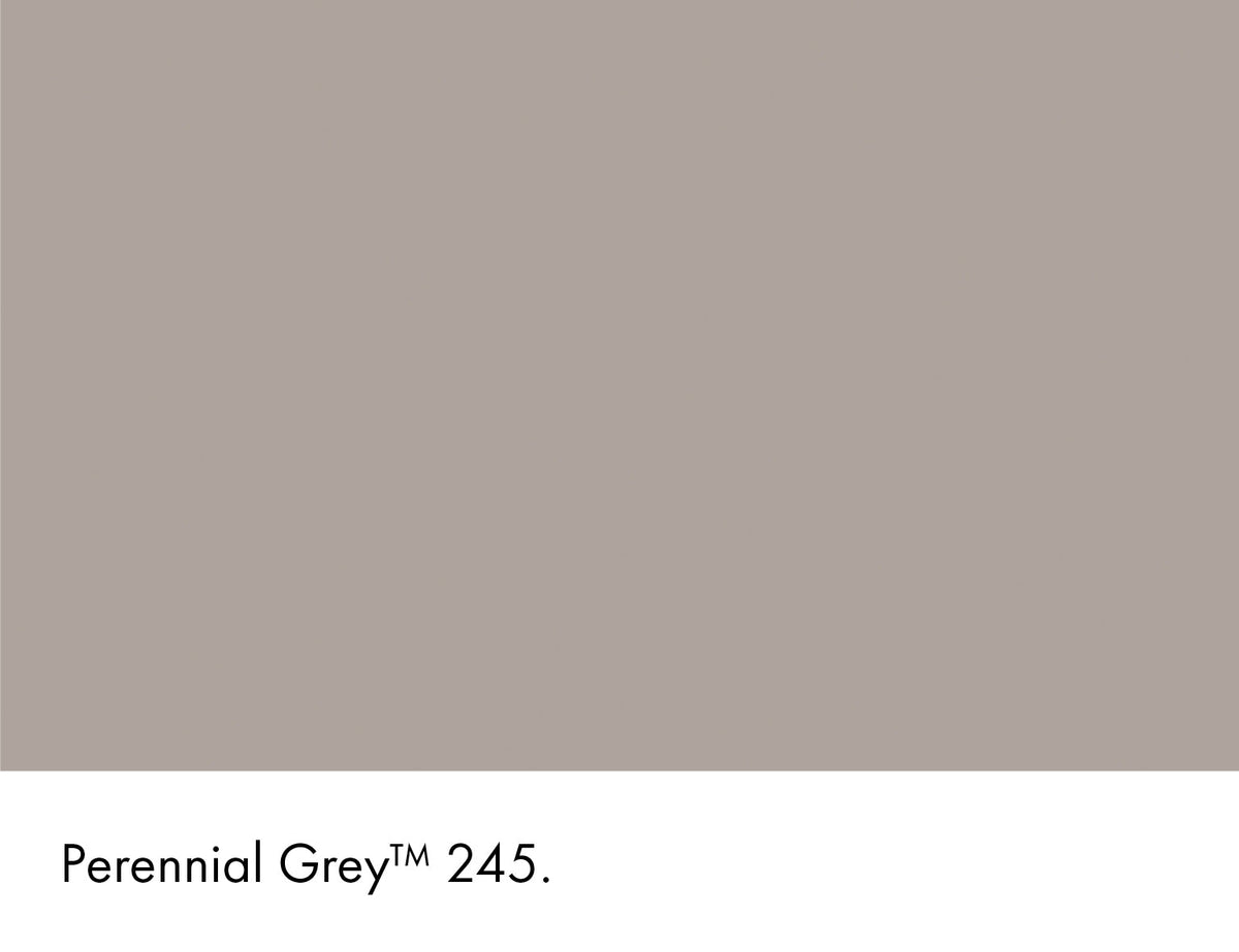 245 | Perennial Grey Intelligent ASP (All Surface Primer) Little Greene