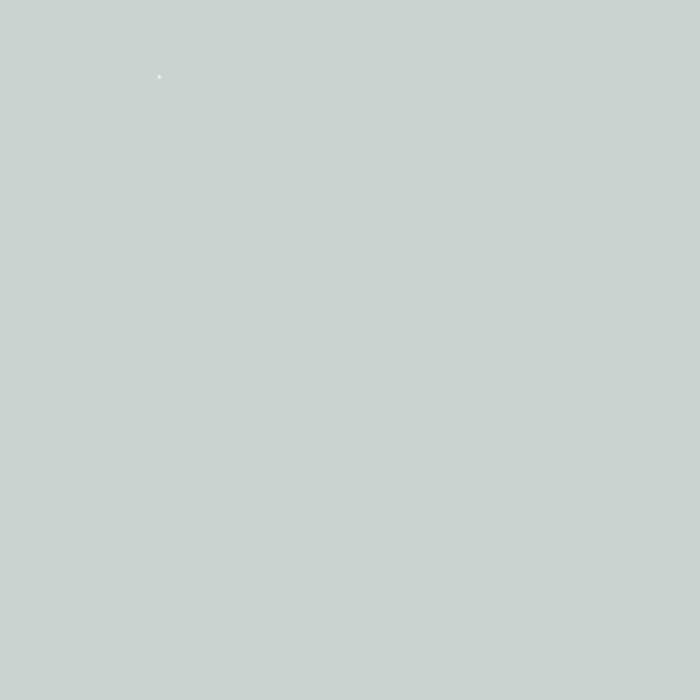 26. Schittering Matte Wandfarbe L'Authentique - Cachethomecollection.de