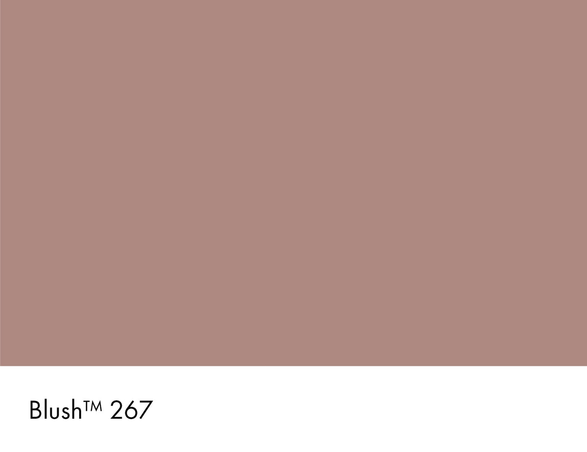 267 | Blush Intelligent Matt Emulsion Little Greene